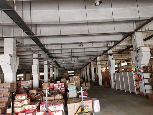 深圳市工廠樓板承重檢測(cè)與規(guī)范報(bào)告技術(shù)服務(wù)